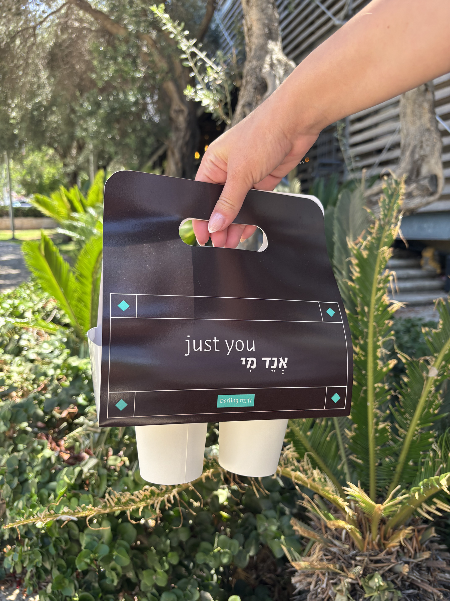 Take a Break Carrier 2